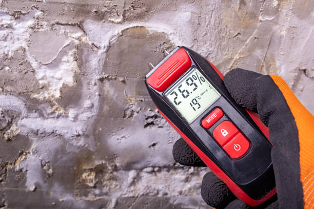 Home Mold Removal in St Pauls, NC