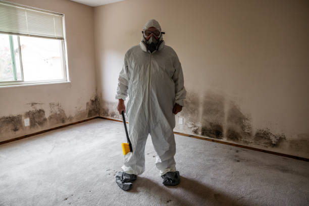 Best Mold Testing  in St Pauls, NC